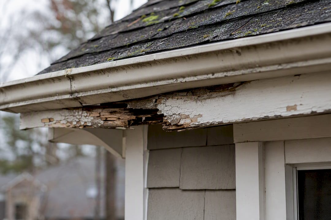 Close-up of gutter sagging and fascia rot damage