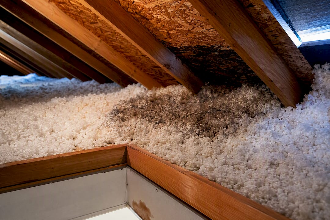 Wet attic insulation from ice dam leakage